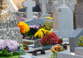 Cimetière avec plants de chrysanthème pour la Toussaint