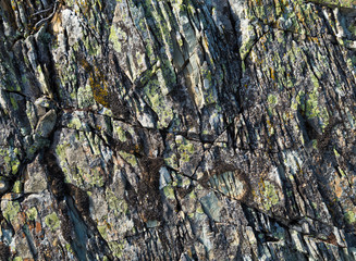 Stone texture with moss. Stone multi-layer with cracks and lichen on the surface.
