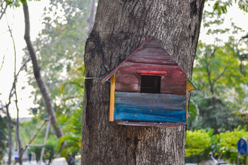 Colored Bird house on the tree