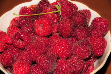 organic raspberries in a bowl . Raspberry fruit © elinkac