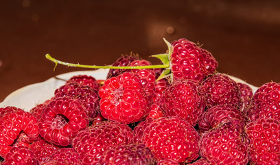 organic raspberries in a bowl . Raspberry fruit © elinkac