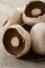 fresh uncooked mushrooms