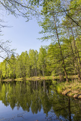 Lake in the national reserve 