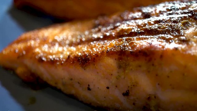 grilled salmon slow motion