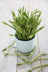 preparing wild asparagus