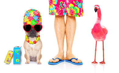 dog and owner on summer vacation