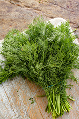 fresh dill herb in bunch