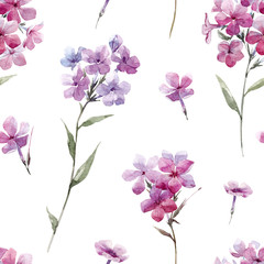 Watercolor floral phlox pattern