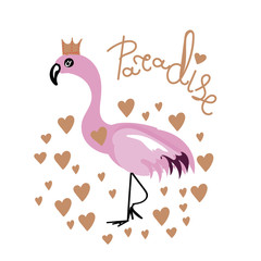 Flamingo couple in love