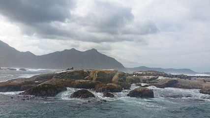 Fototapeta na wymiar Dangerous sea in Hout bay, South Africa