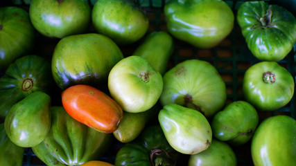 Pile of raw natural green tomatoes