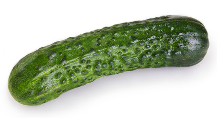 Fresh cucumber