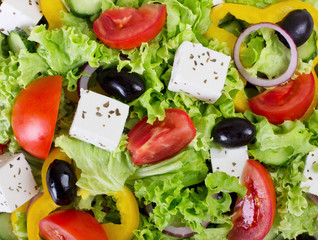 Fresh vegetable salad