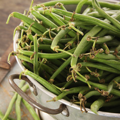 preparing fine green beans