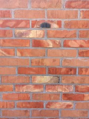 Just brown wall of a house.