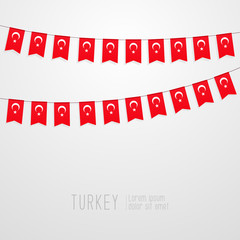 Turkish national flags hangs on the ropes on white background