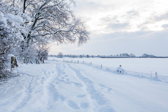 snow covered road - Powered by Adobe
