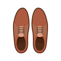 elegant masculine pair shoes vector illustration design