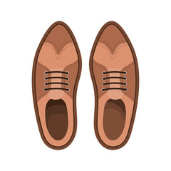 elegant masculine pair shoes vector illustration design