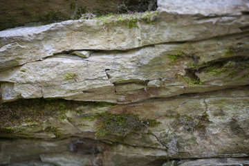 A cut of rock in the forest in Poland near Kudowa Zdroj
