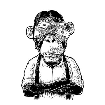 Monkeys with money on eyes. Vintage engraving