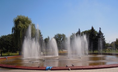 fountain     