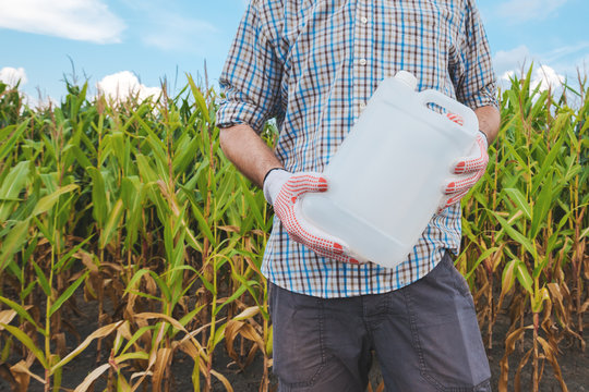 Farmer holding pesticide chemical jug in cornfield