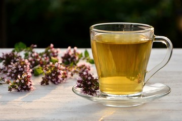 A сup of fragrant tea with fresh oregano in the garden.