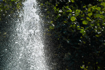 Splashes and spray of water on a background with leaves