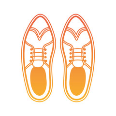 elegant masculine pair shoes vector illustration design