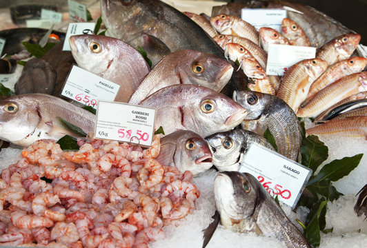 Fresh fish and clams in a market