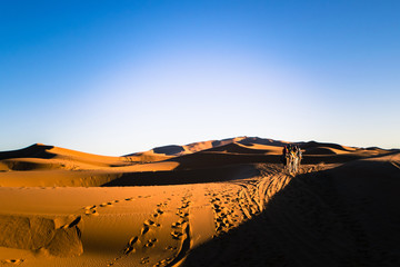 Fototapeta na wymiar Sahara Desert - Freedom