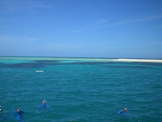 Meer am Great Barrier Reef