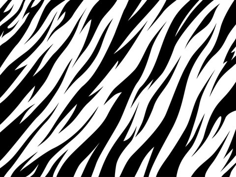 stripe animal tiger fur texture pattern white black