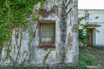 Fototapeta na wymiar Vegetation seizing an old abandoned house