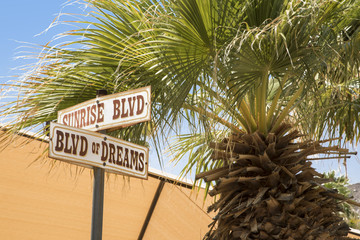 Street signs and palm tree at Zzyzx in California