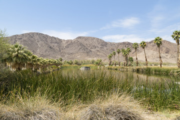 Lake at Zzyzx in California