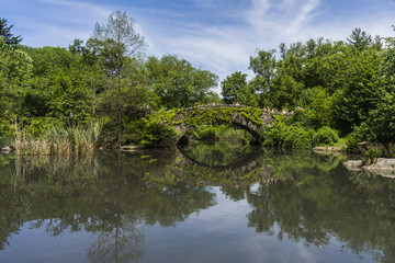 Fototapeta na wymiar Stone bridge in Central park