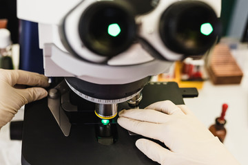 The laboratory assistant examines the sample under a microscope. Hands in medical gloves move the slide. Close-up, selective focus.