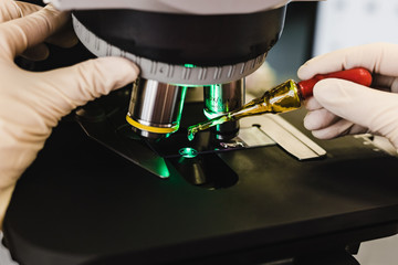 The laboratory assistant examines the sample under a microscope. The hands in the medical gloves drips immersion oil on the glass. Close-up, selective focus.