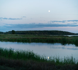 Obraz na płótnie Canvas Pond in moonlight