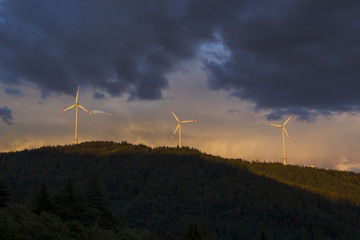 Wind turbines on wooded mountains near Gersbach in the Black Forest in the light of the evening sun