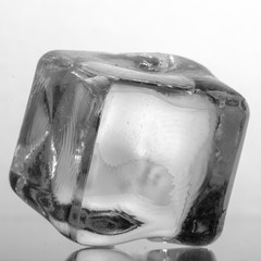 One cube of ice on a white background