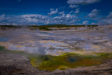 Steaming opaque thermal pools at Norris Geyser Basin. Yellowstone National Park, Wyoming, in beautiful blue sky and sunny day