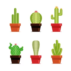 Meubelstickers Cactus in pot Decoratieve cactus set met stekels op de witte achtergrond. Home planten cactus in potten en met bloemen. Platte stijl iconen.