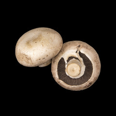 Champignon mushrooms