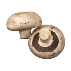 Champignon mushrooms.