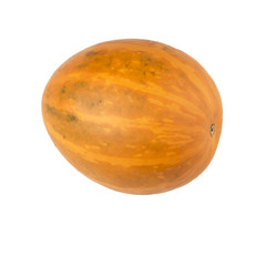 Pumpkin White Background