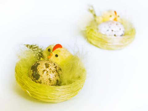 handmade bird nests (there is global altered)