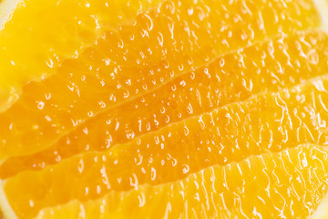 Juicy cut of ripe orange, close-up